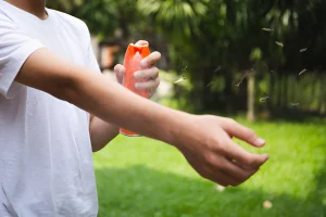 nyamuk spraying